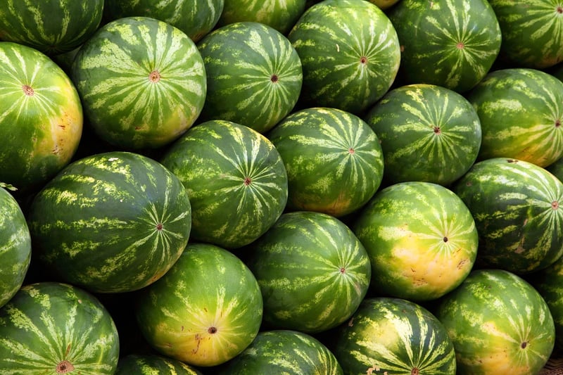 Farmers Market Visits